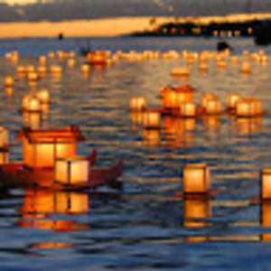 Meet your Posher, Jane